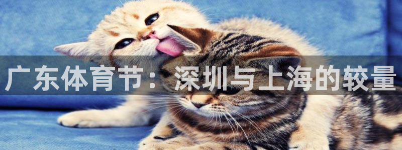 360雨燕无插件高清直播免费