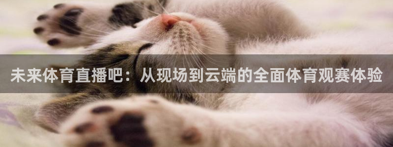360足球比赛直播网站