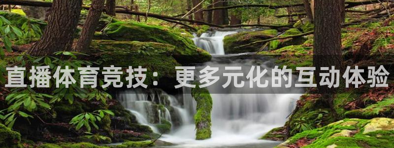 直播360体育直播