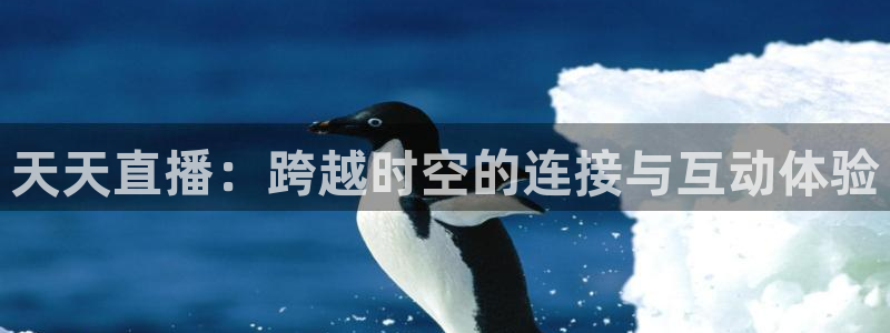 雨燕360nba直播