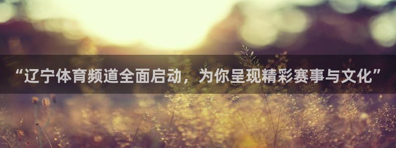 360体育直播无插件高清：“辽宁体育频道全面启动，为你呈现精彩赛事与文化”