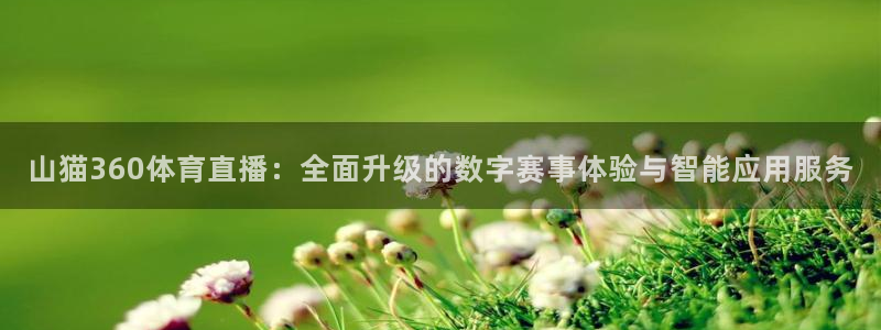 360直播无插件体育