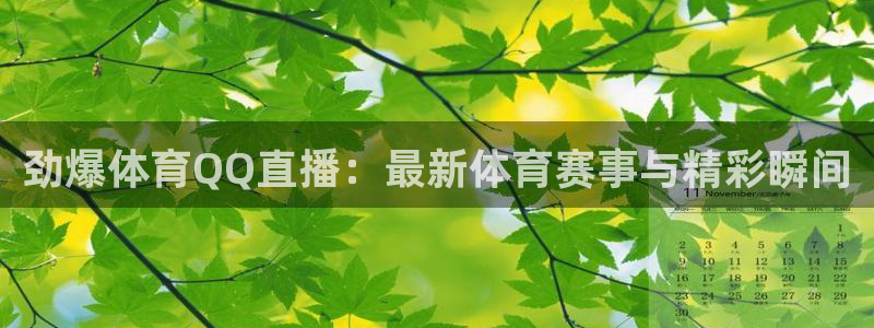360足球直播在线观看免费高清：劲爆体育QQ直播：最新体育赛事与精彩瞬间